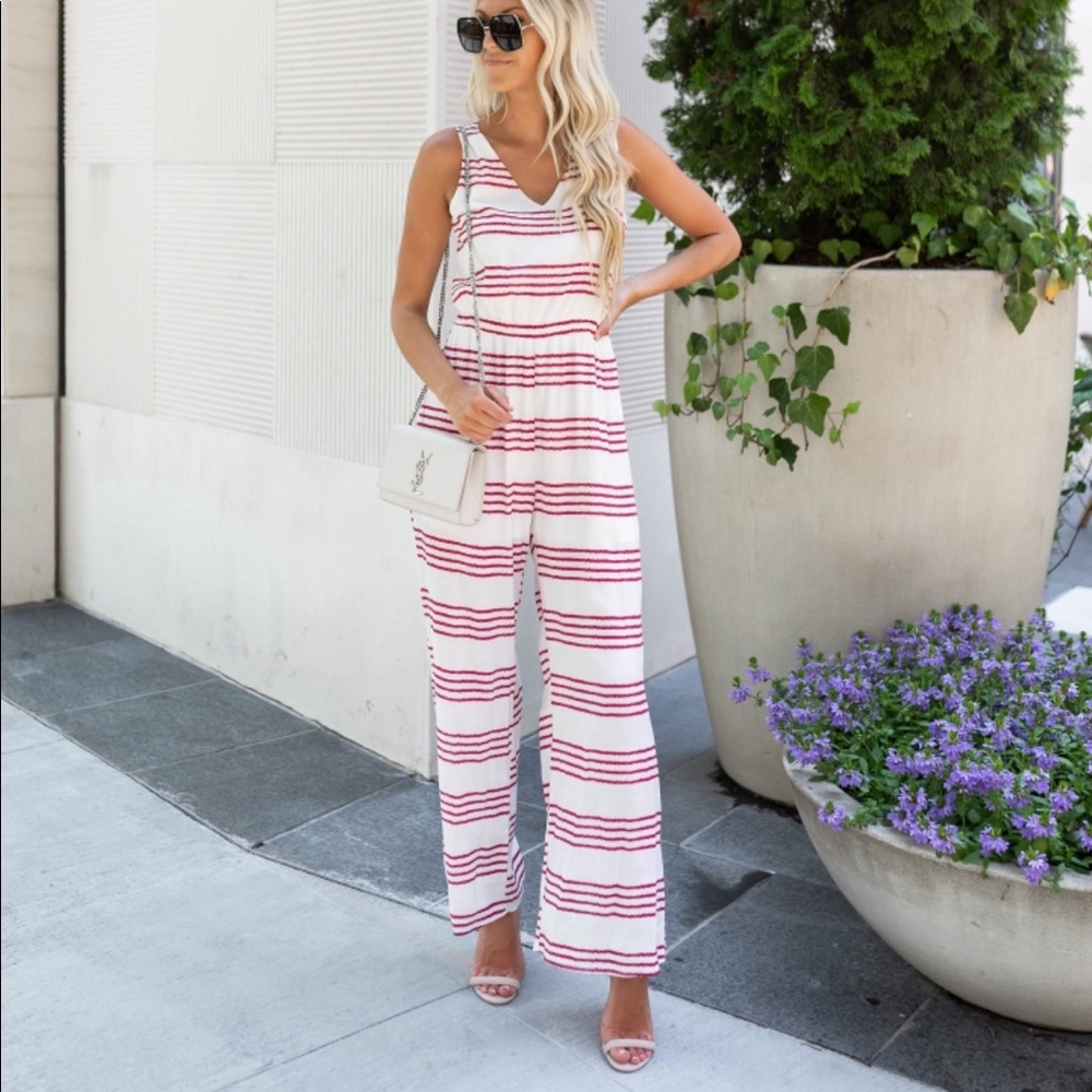 NWT Jumpsuit purchased from VICI